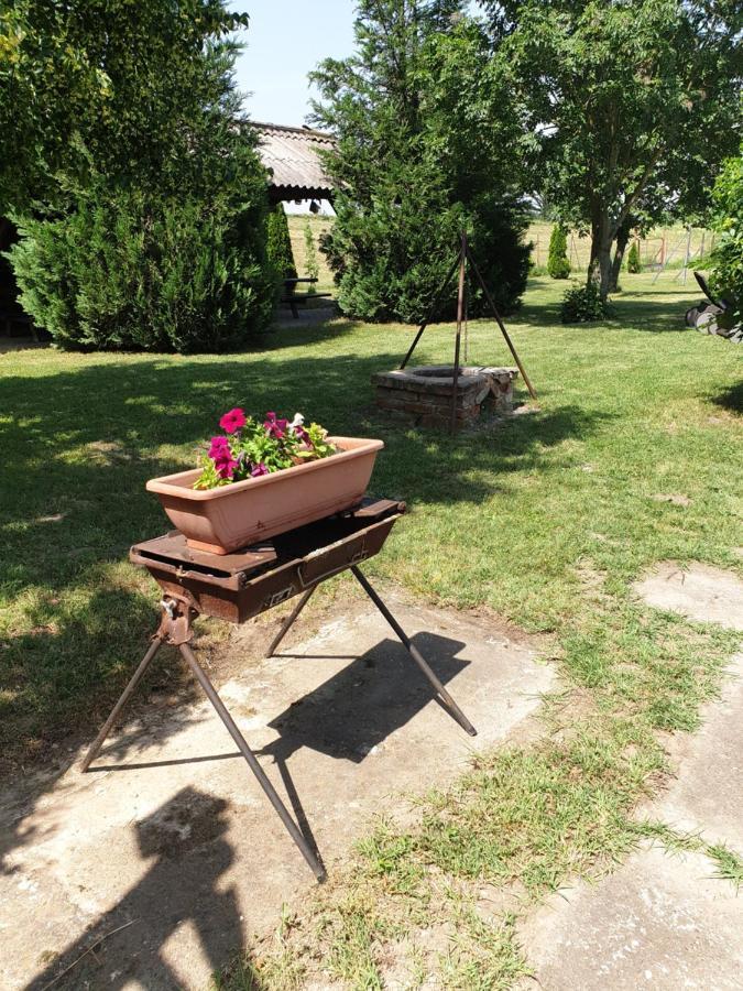 Raba Part Apartman Aparthotel Rabaszentmihaly Bagian luar foto